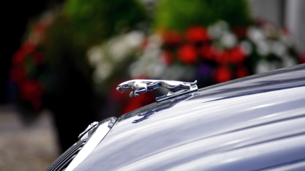 Jaguar Diagnostics